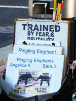 Activists protest Ringling Bros. Circus in San Jose