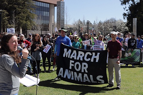 Animal Activists March for Animals in Santa Rosa