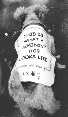 feminist_dog_1.jpg 