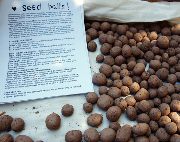 seed-balls_7-9-06.jpg 