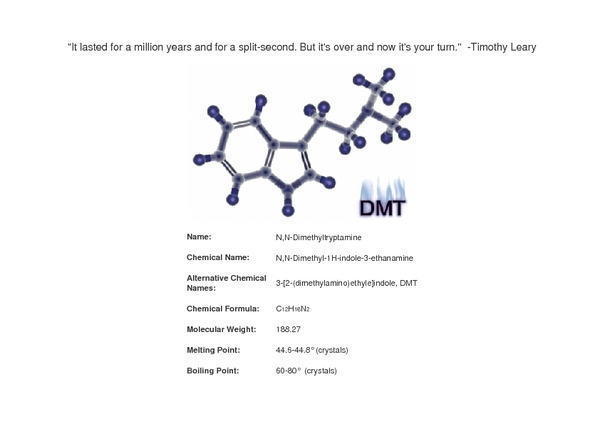 Dmt The Spirit Molecule Pdf