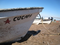 200_cucapacooperativeboat_1.jpg