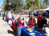 disability_day-state_capitol-phx_az_2-6-08_booths_6.jpg