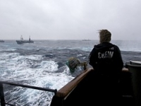 090204_steve_irwin_engages_japanese_harpoon_whaling_vessels.jpg