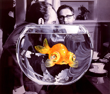 robbie_conal-fishbowl-smallimage_1.jpg 