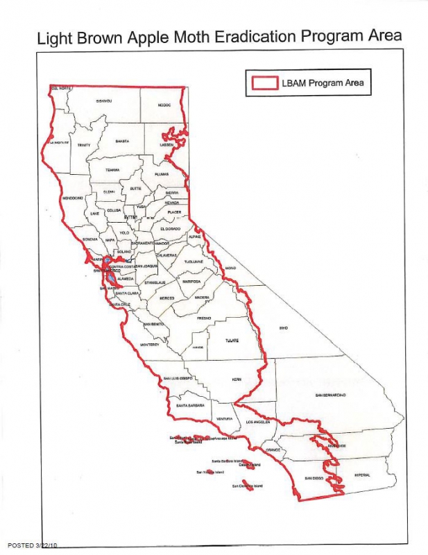 800_light-brown-apple-moth-eradication-area-california-2010.jpg 