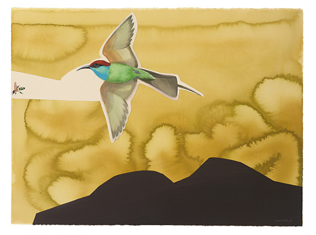 blue_throated_bee_eater_collage_by_david_tomb.jpg 