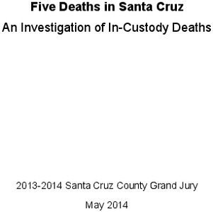 death_in_custody_report.pdf_600_.jpg