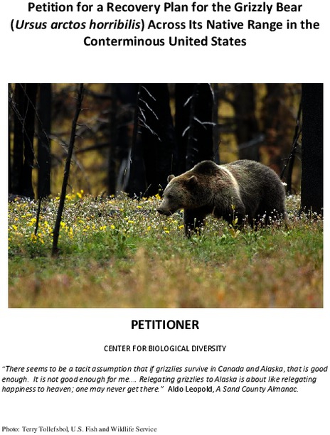 grizzly_recovery_plan_petition_.pdf_600_.jpg