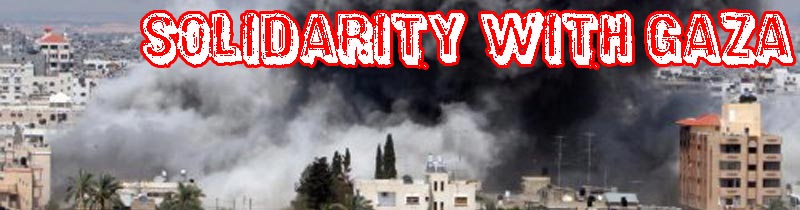 gaza.solidarity.with.banner.jpg 