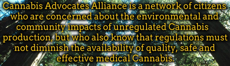 800_cannabis-advocates-alliance.jpg 