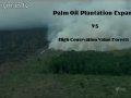 120_plantation_vs_hcv_forest_sumatra.jpg