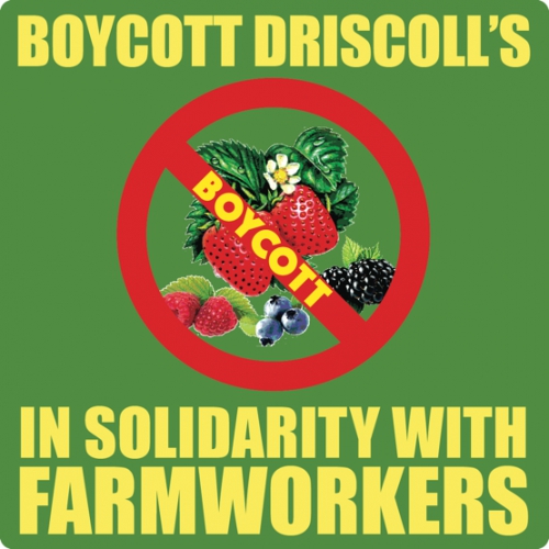 800_boycott_logo3_1.jpg 