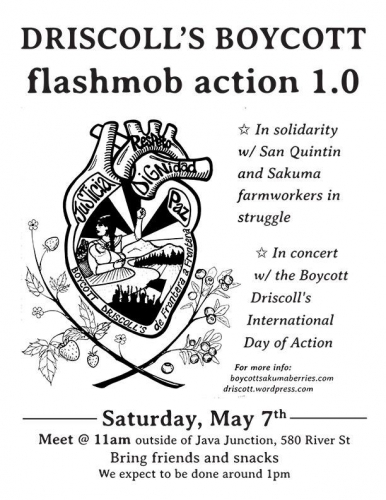 sm_boycott-driscolls-flashmob_5-7-16.jpg 