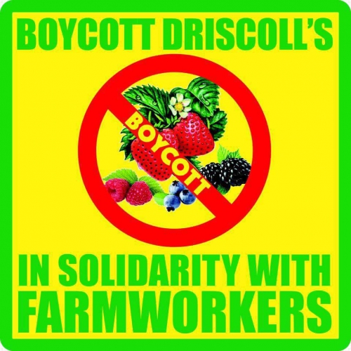 sm_boycott-driscolls.jpg 
