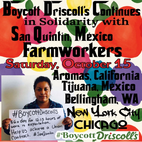 sm_boycott-driscolls-oct-15-2016.jpg 
