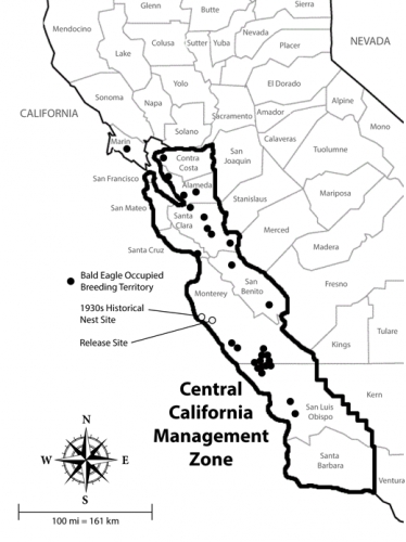 sm_central_california_bald_eagle_management_zone.jpg 