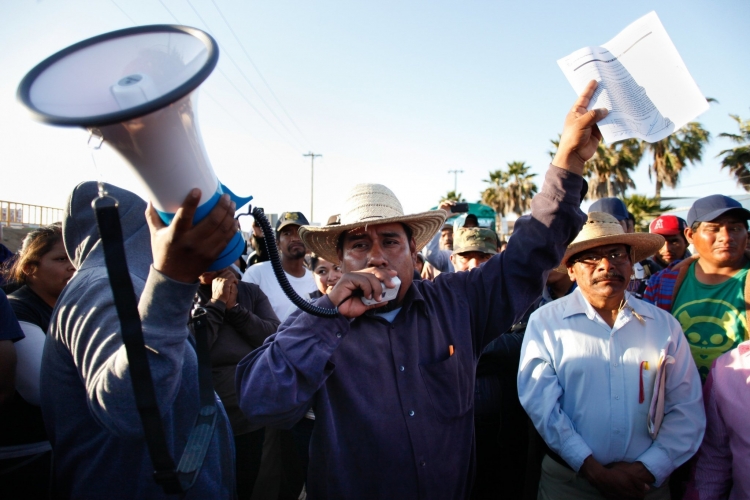sm_mexico_san_quintin_rally_sdut-mexico-farm-workers-strike-2015mar28.jpg 