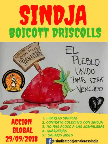 sm_boycott-driscolls-global-action-sep-29-2018.jpg 
