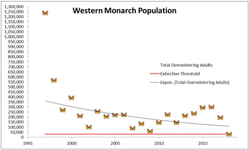 sm_western-monarch-population-center-for-biological-diversity.jpg 