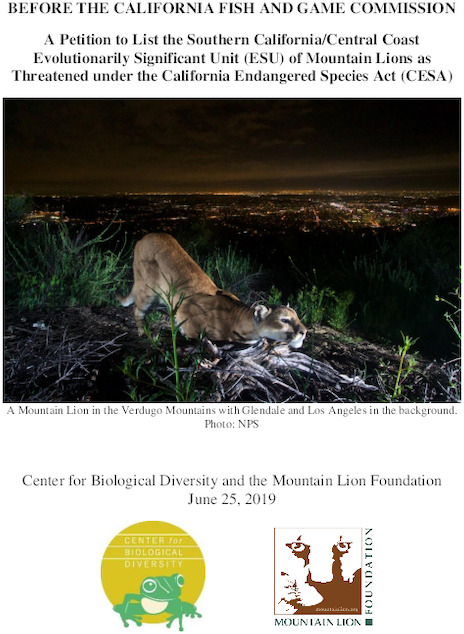 cesa-petition-for-southern-california-central-coast-mountain-lions.pdf_600_.jpg