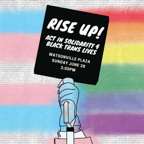 sm_rise_up_act_in_solidarity_4_black_trans_lives_watsonville_pajaro_valley_pride.jpg 