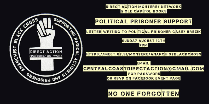 sm_anarchist_black_cross_-_virtual_political_prisoner_support_direct_action_monterey_network.jpg 