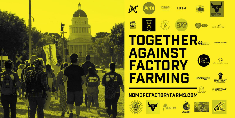 sm_together_against_factory_farms.jpg 