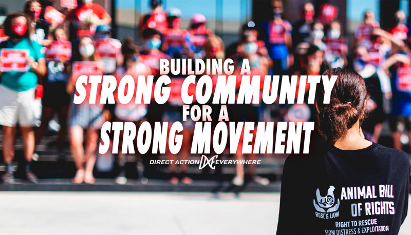 sm_meetup-_building_a_strong_community_for_a_strong_movement_.jpg 