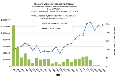 480_western_monarch_thanksgiving_count_data_1997___2020_1.jpg