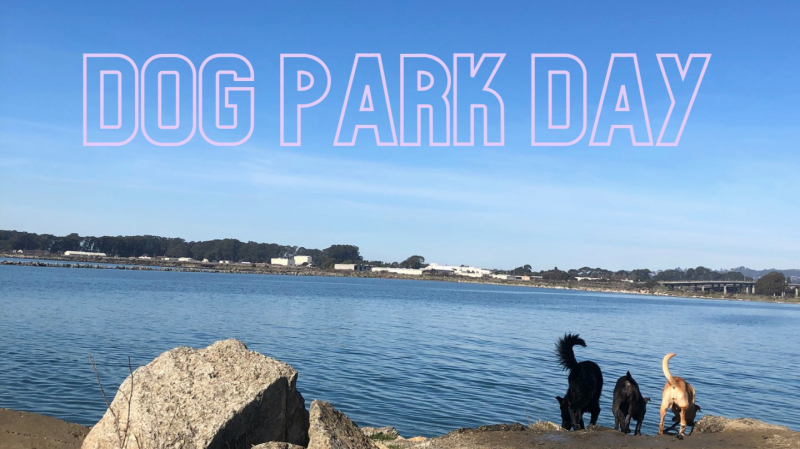 sm_dog_park_day__.jpg 
