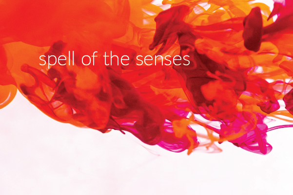 00_spell_of_the_senses_600x400.png 