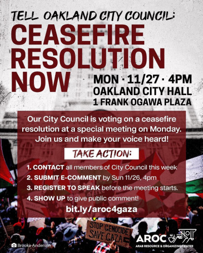 sm_oakland-city-council-ceasefire-resolution-palestine-gaza.jpg 