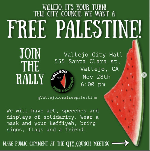 sm_vallejo_city_hall_free_palestine.jpg 