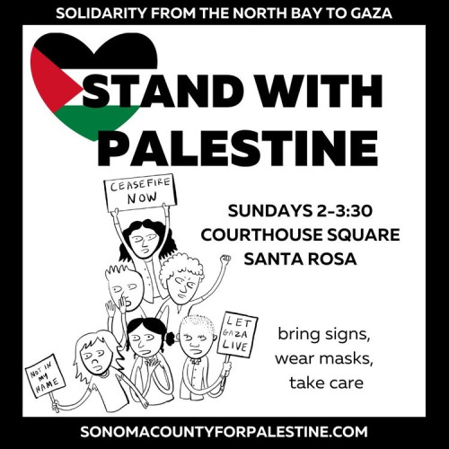 sm_sonoma_county_for_palestine.jpeg 