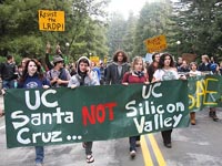 Standoff with Police as Activists occupy redwoods to oppose UCSC Expansion