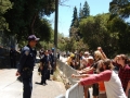 UC Berkeley Starts To Remove Tree-Sits at Memorial Oak Grove