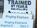 Activists protest Ringling Bros. Circus in San Jose