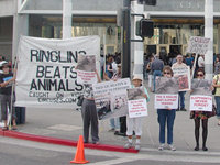 Ringling Bros. Circus Opening Night Demonstration for Animals in San Jose