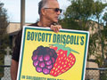 Boycott Driscoll’s Action in Watsonville