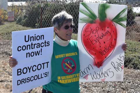 Solidarity with San Quintín Farmworkers at Driscoll’s Distribution Center in Aromas, CA