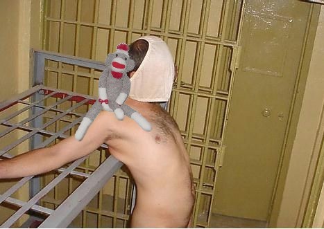 torture monkey