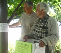 Trees and Bike Paths Endangered in Palo Alto