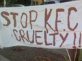 KFC Protest in Healdsburg