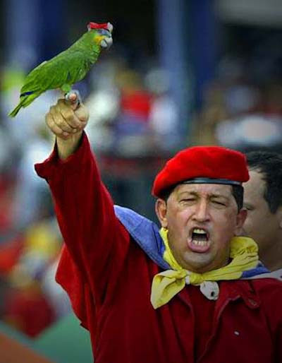 chavez.jpgi12688.jpg 