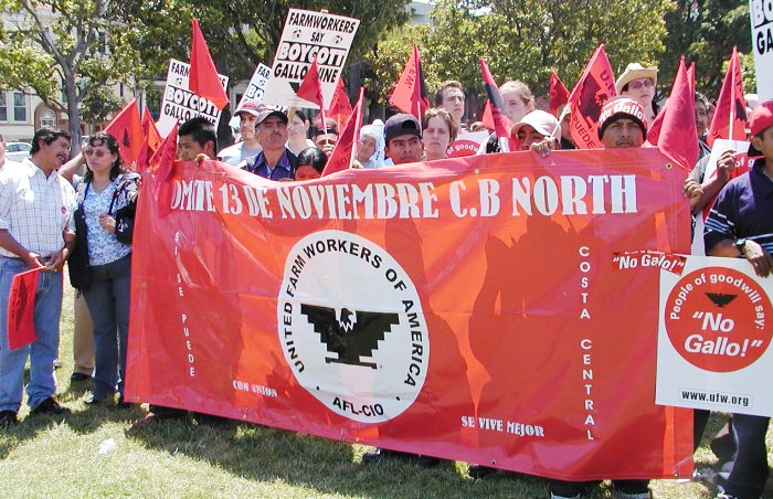 07_ufw_banner.jpg 