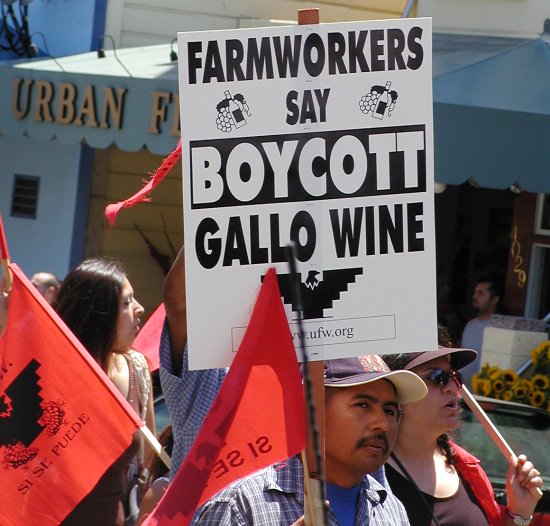 13_boycott_gallo_sign.jpg 