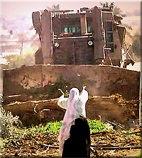bulldozerwoman.jpg1ttsvs.jpg 