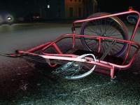 200_bike-cart_6-3-06.jpg