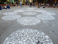 crop-circles_11-13-07.jpg